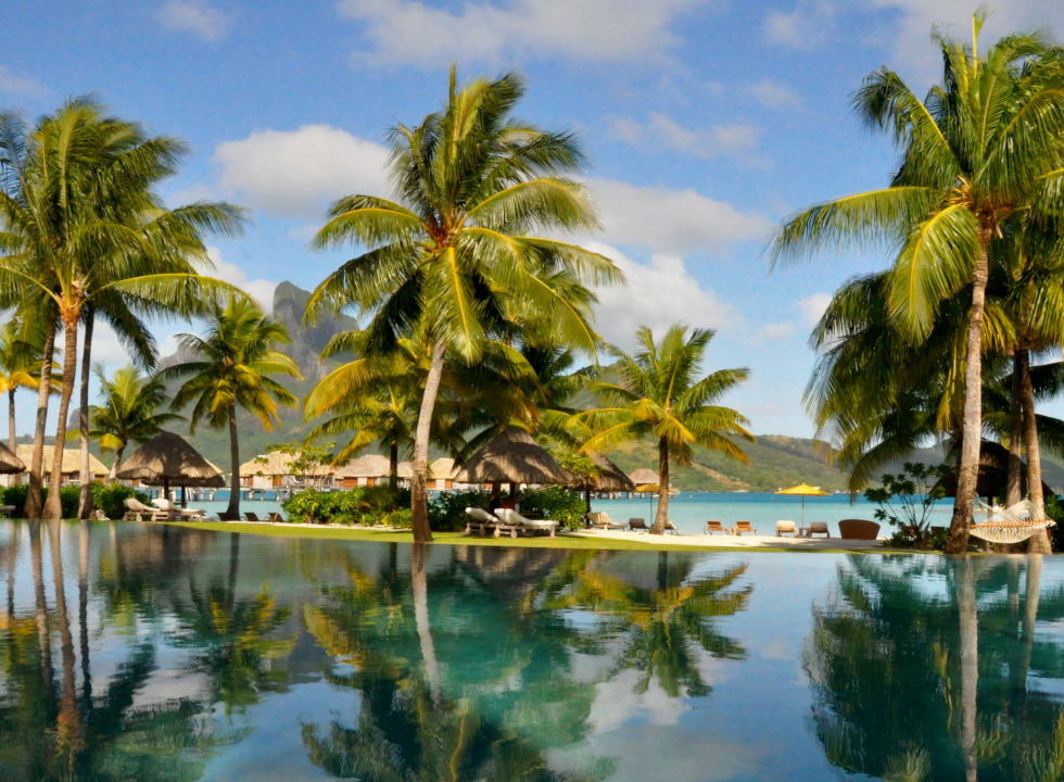 An infinity pool at a hotel