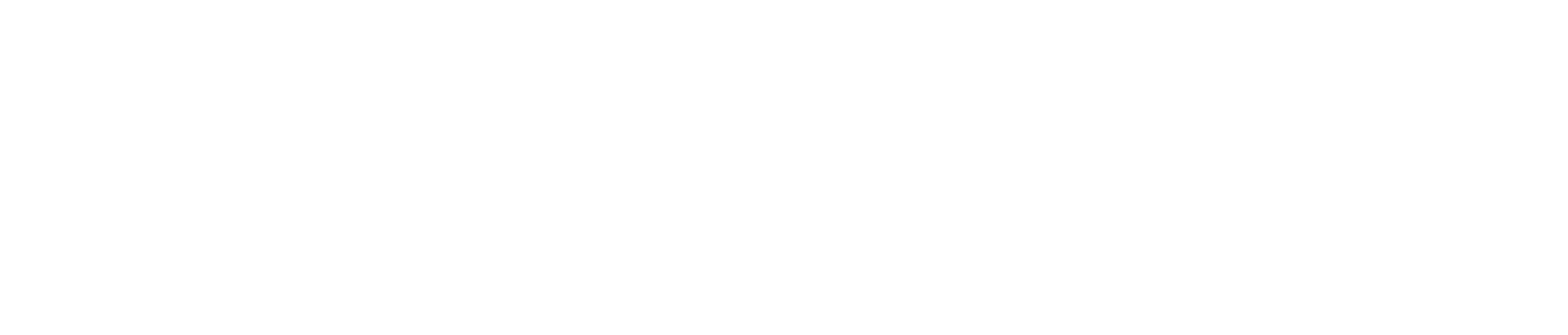 Prime Planit Logo